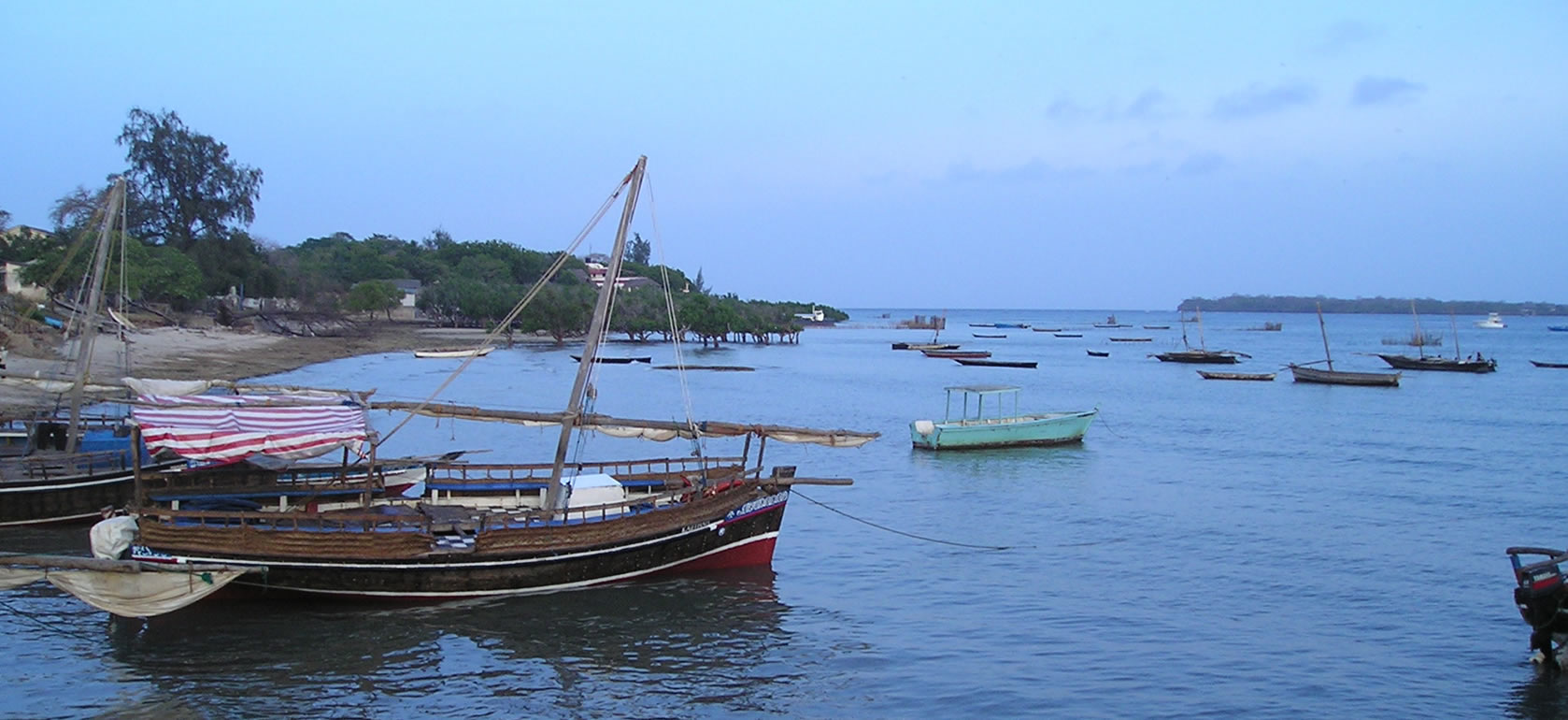 Mangrove channels during the Funzi Island dhow excursion