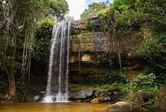 Shimba Hills