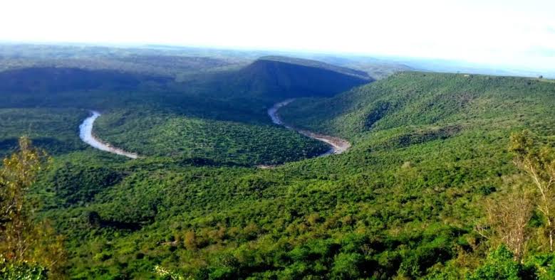 Shimba Hills excursion from Diani Beach Kenya