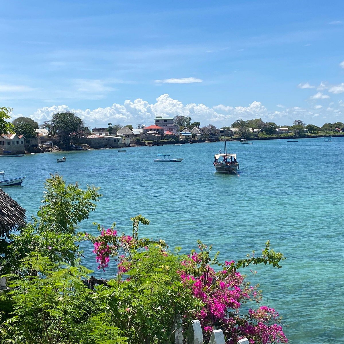 Wasini Island coastal scenery and island experience